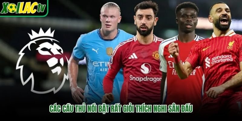 Các cầu thủ nổi bật rất giỏi thích nghi sân đấu