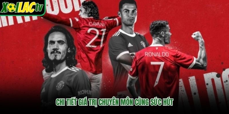 Chi tiết giá trị chuyên môn cùng sức hút