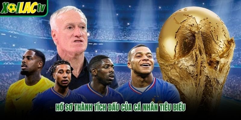 Hồ sơ thành tích đấu của cá nhân tiêu biểu