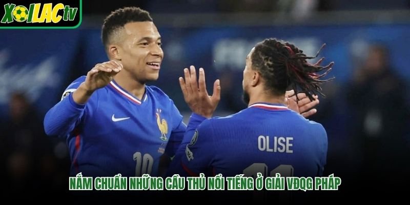 Nắm chuẩn những cầu thủ nổi tiếng ở giải VĐQG Pháp