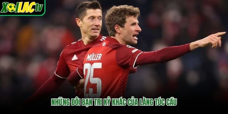 Những đôi bạn tri kỷ khác của làng túc cầu