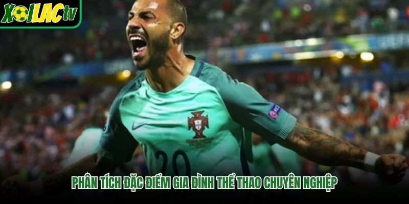 Phân tích đặc điểm gia đình thể thao chuyên nghiệp