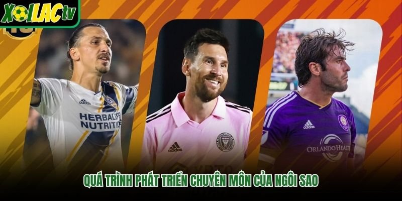 Quá trình phát triển chuyên môn của ngôi sao
