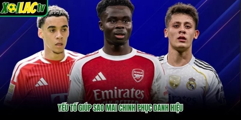 Yếu tố giúp sao mai chinh phục danh hiệu
